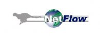 Netflow - Desenvolvimento de Sistemas de Informação Lda
