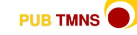 Pub-Tmns, Serviços de Publicidade